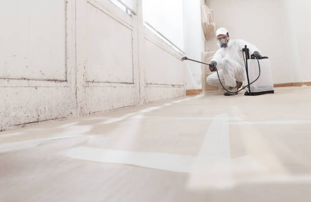24/7 Emergency Mold Remediation experts in Wrightsville, GA