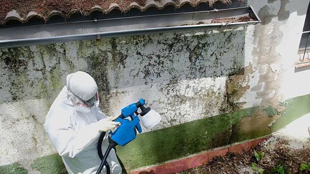 Top rated local Mold Remediation specialists in Wrightsville, GA